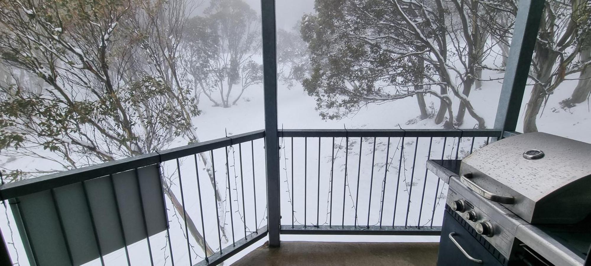Cedarwood Apartments Falls Creek Exteriér fotografie